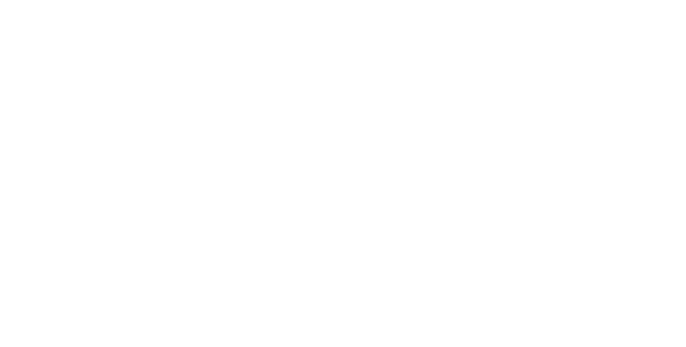 PEC Logo White