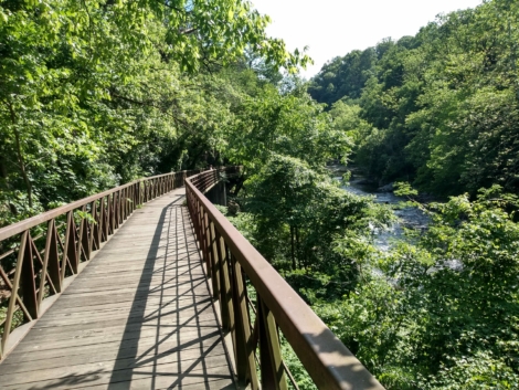 Lincoln Drive Trail Wissahickon_PA_Daniel Paschall