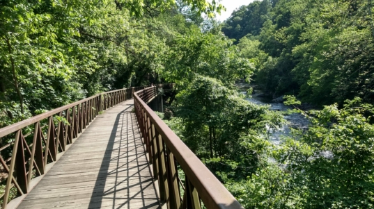 Lincoln Drive Trail Wissahickon_PA_Daniel Paschall